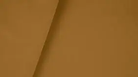 Casanova Mustard